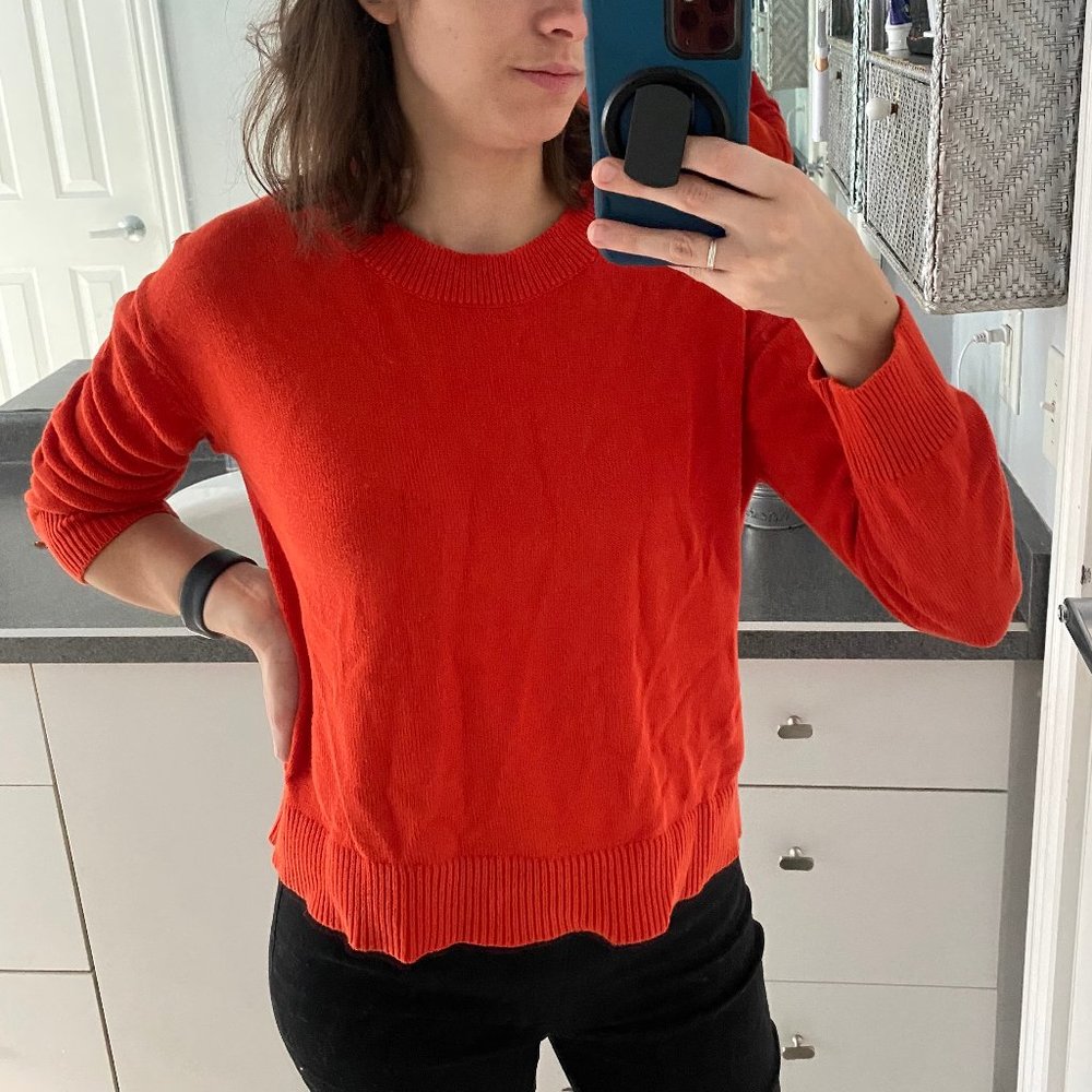 Everlane cotton long-sleeve crew sweater XS